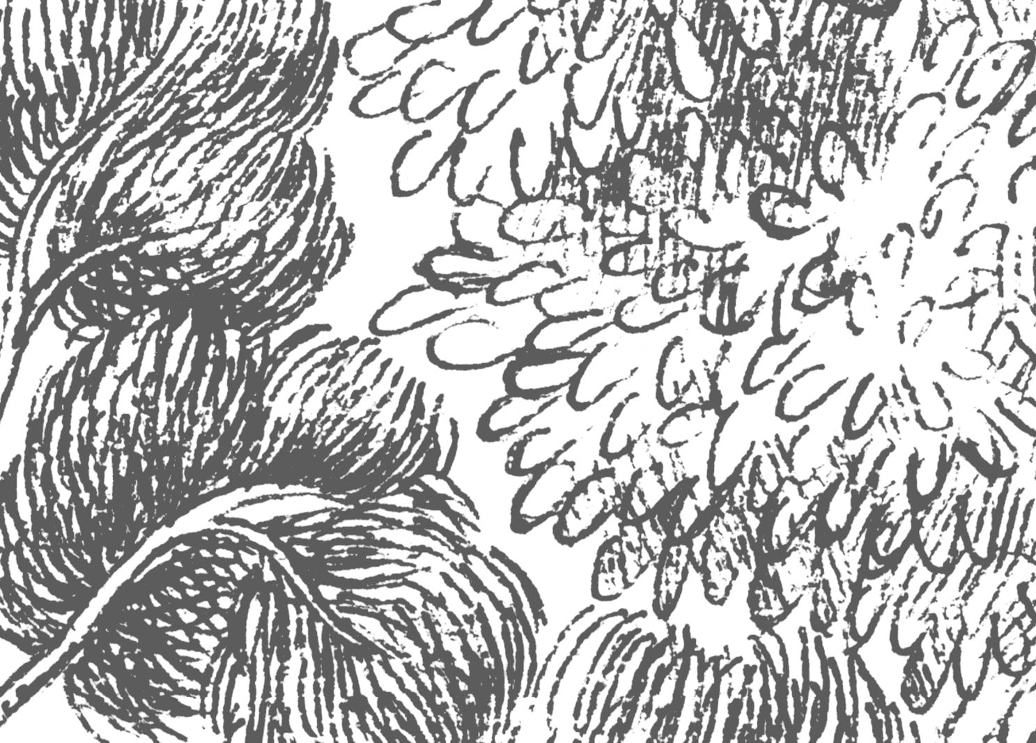 Scandinavian Bellewood, Gray, Rebel Walls 5