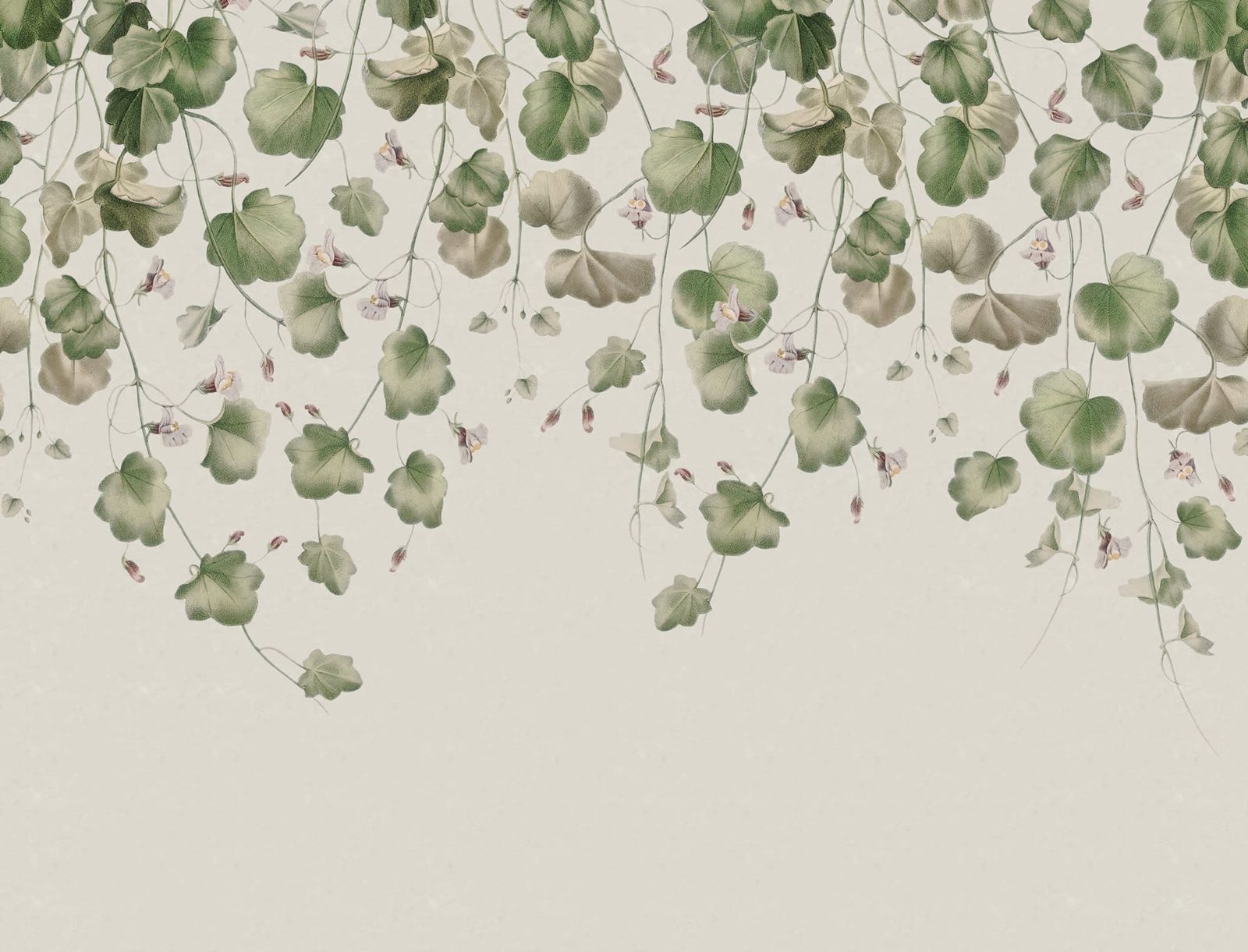 Dangling Ivy, Soft, Rebel Walls