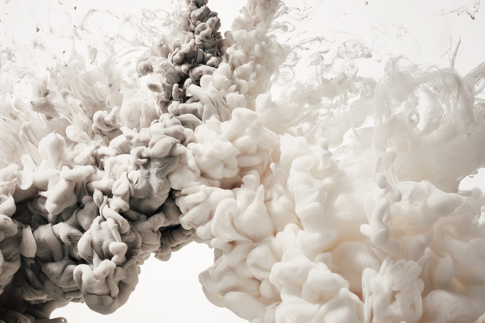 Frozen Moment, Cream, Rebel Walls