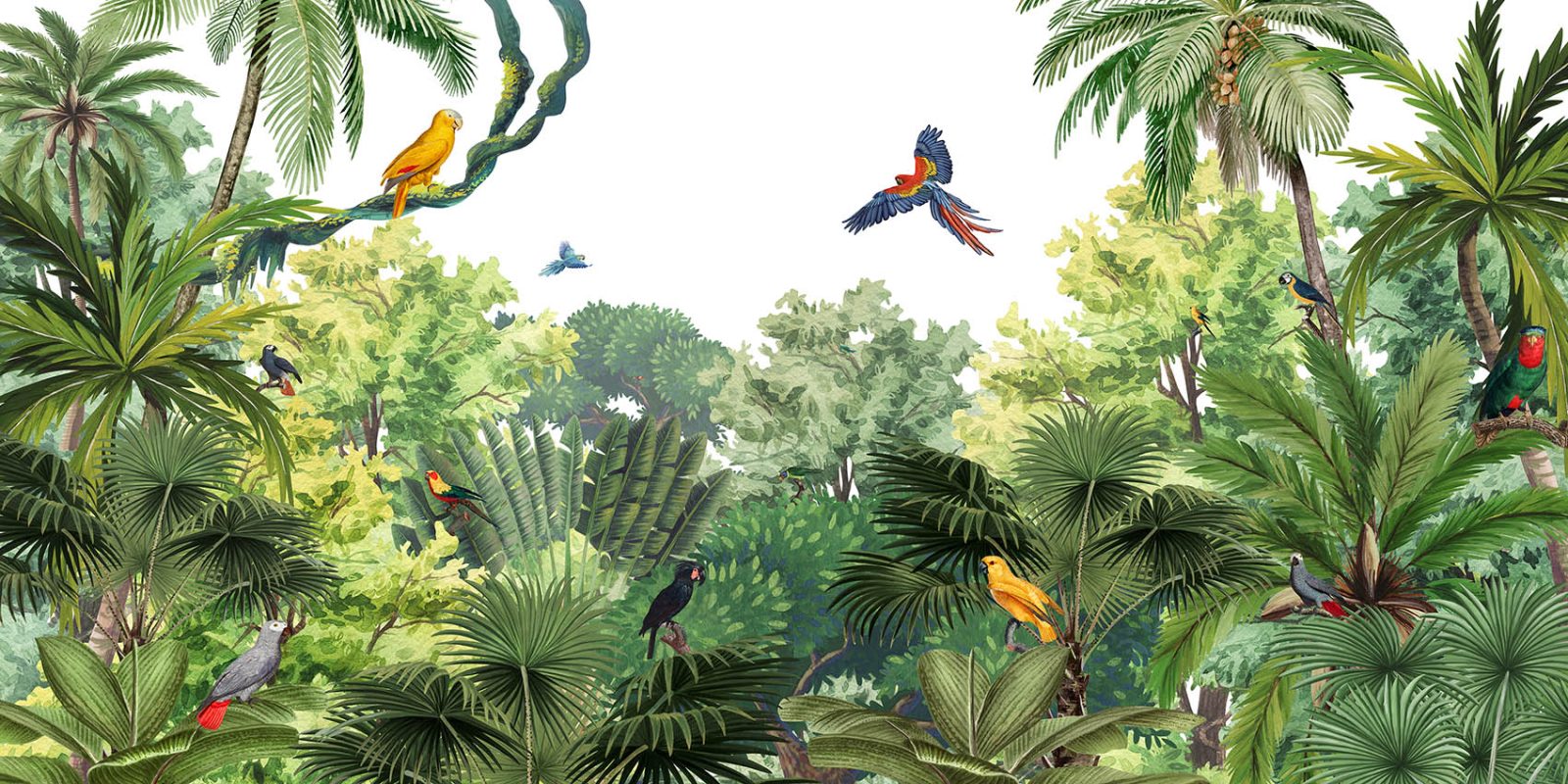 Canopy Jungle, Kikki Belle