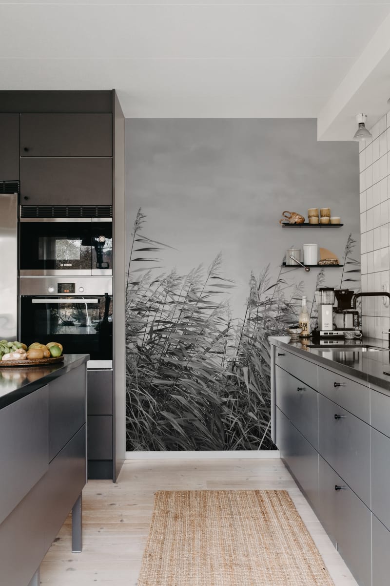 Dreamy Reed, Black & White, Rebel Walls 2