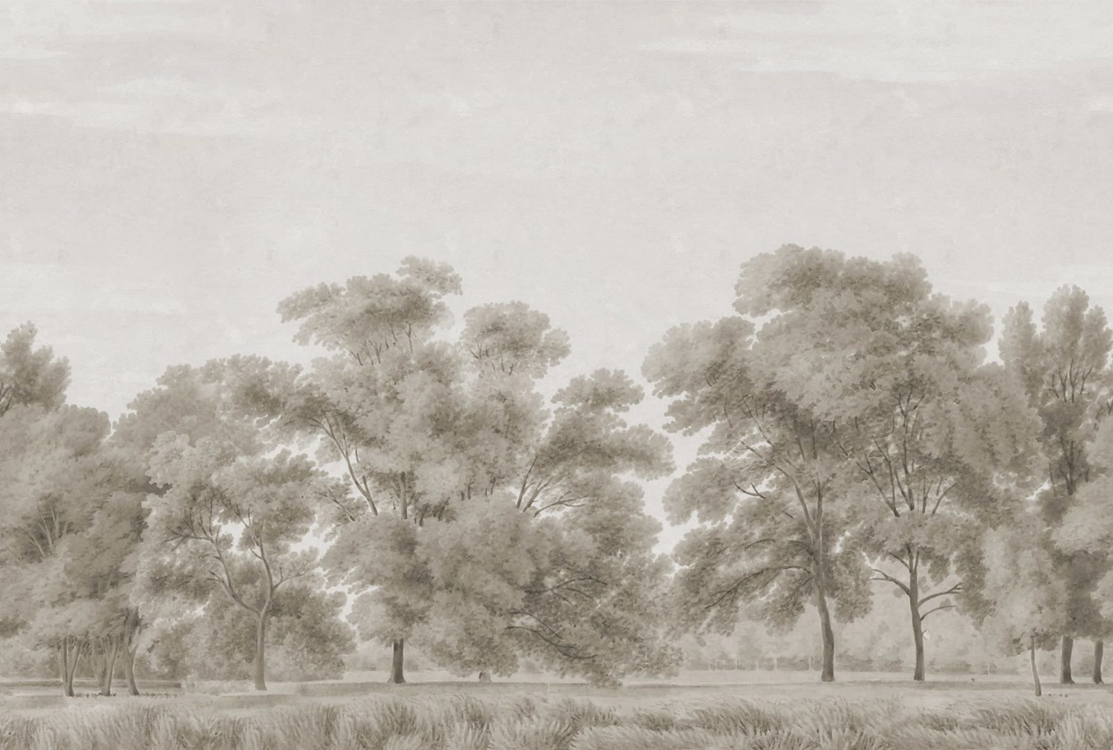 Whispering Forest, Beige, Rebel Walls