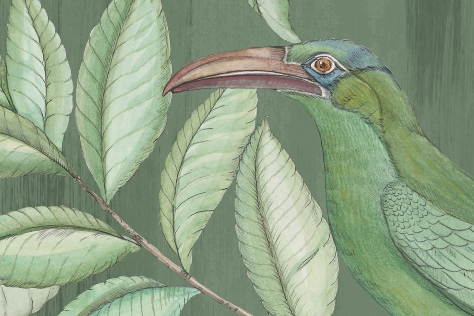 Monkeys Paradise, Sage Green, Rebel Walls 4