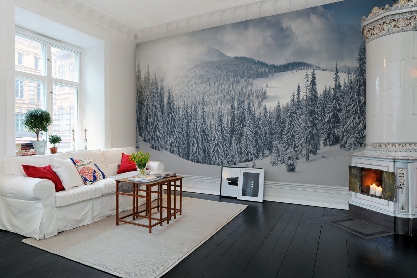 Winter, Rebel Walls 2
