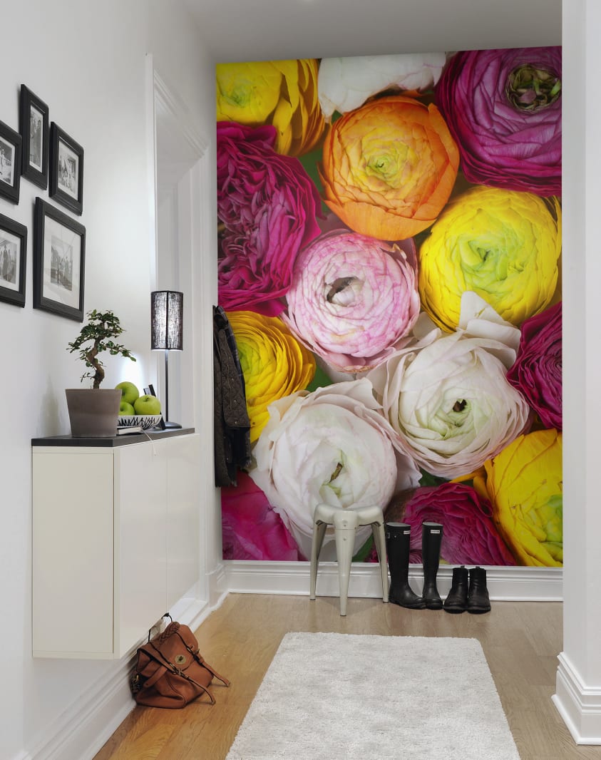 Ranunculus, Rebel Walls 3