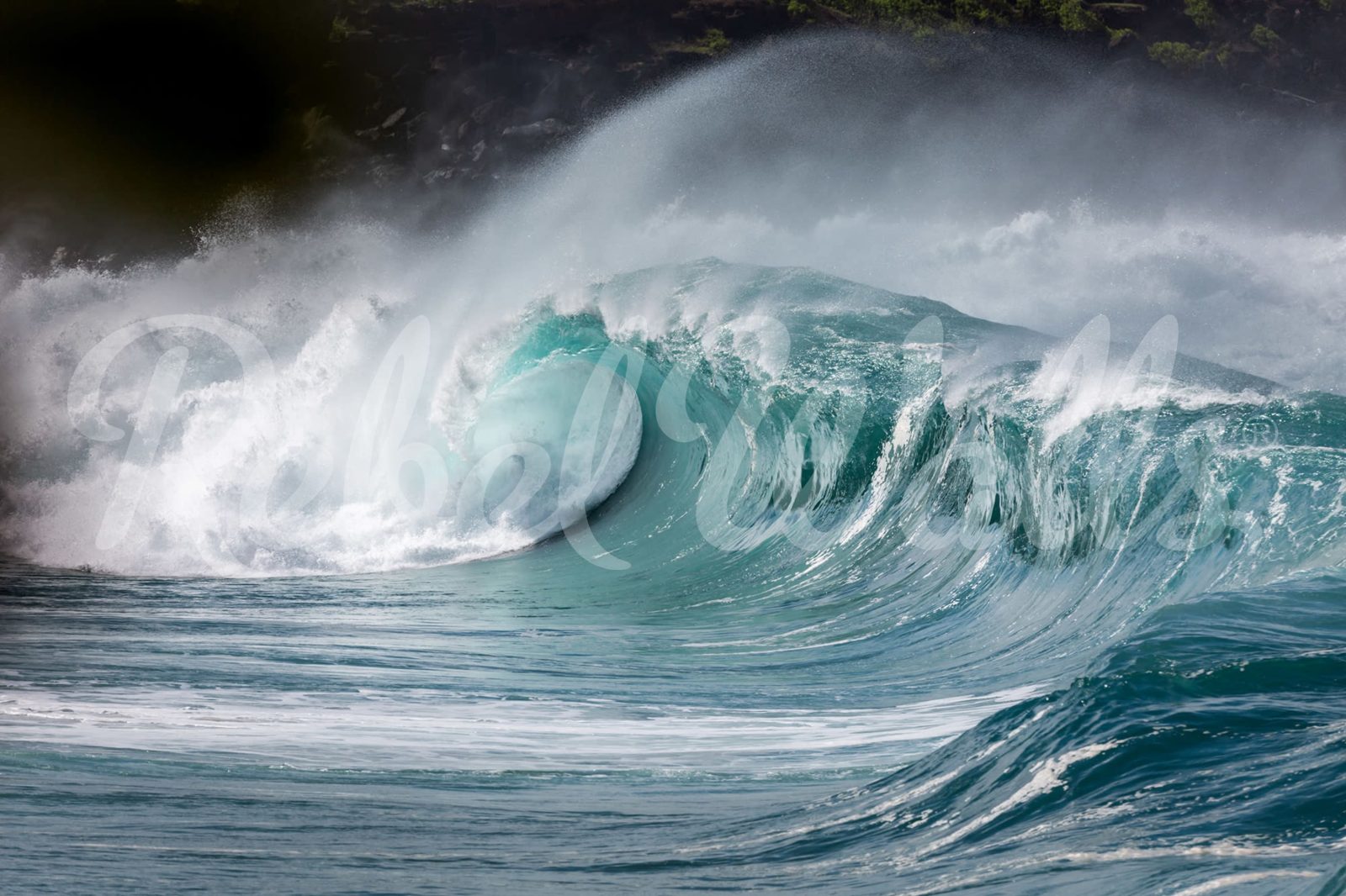 Single Wave, Rebel Walls