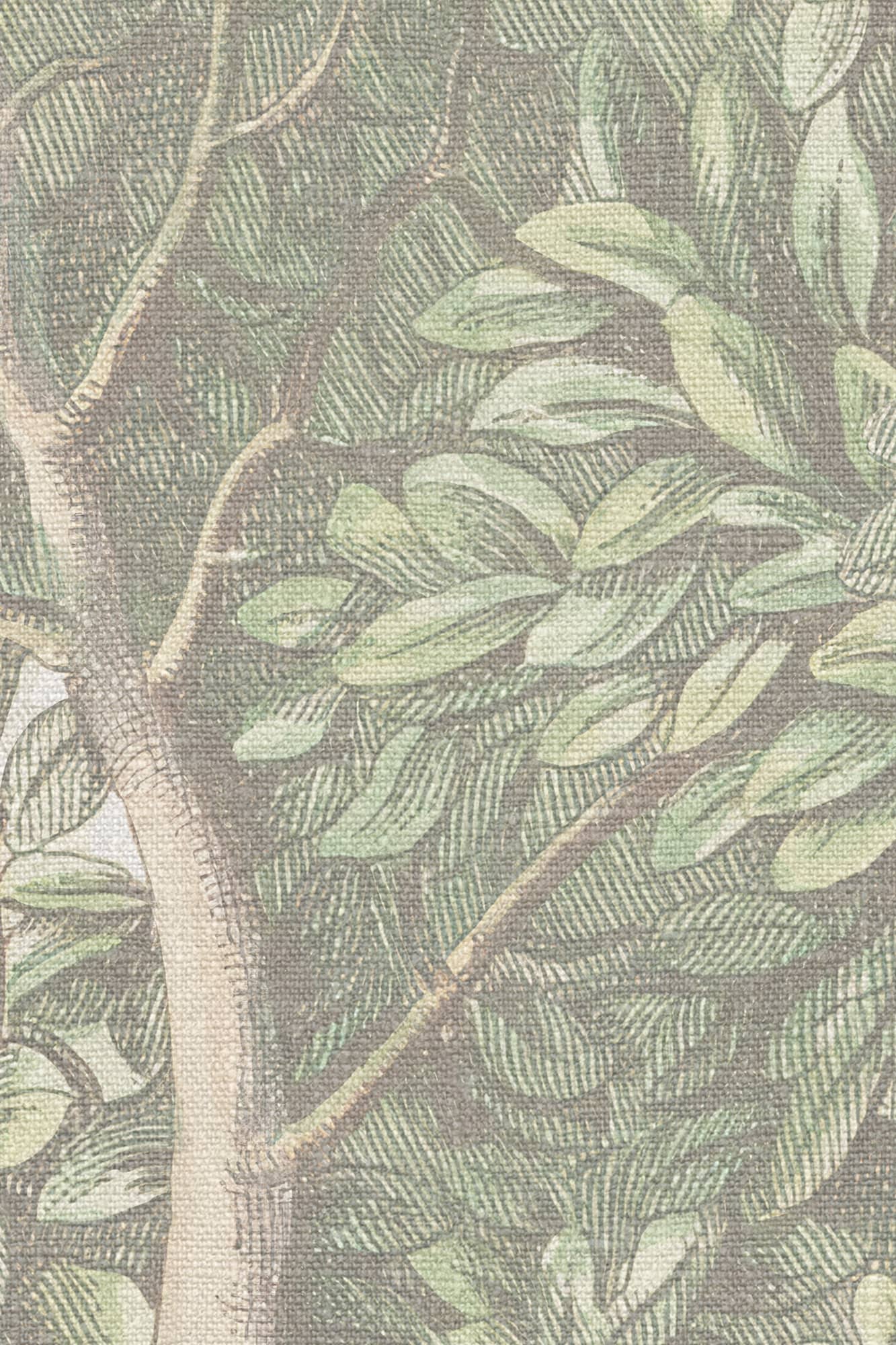 Charles, Light Green, Sandberg 4