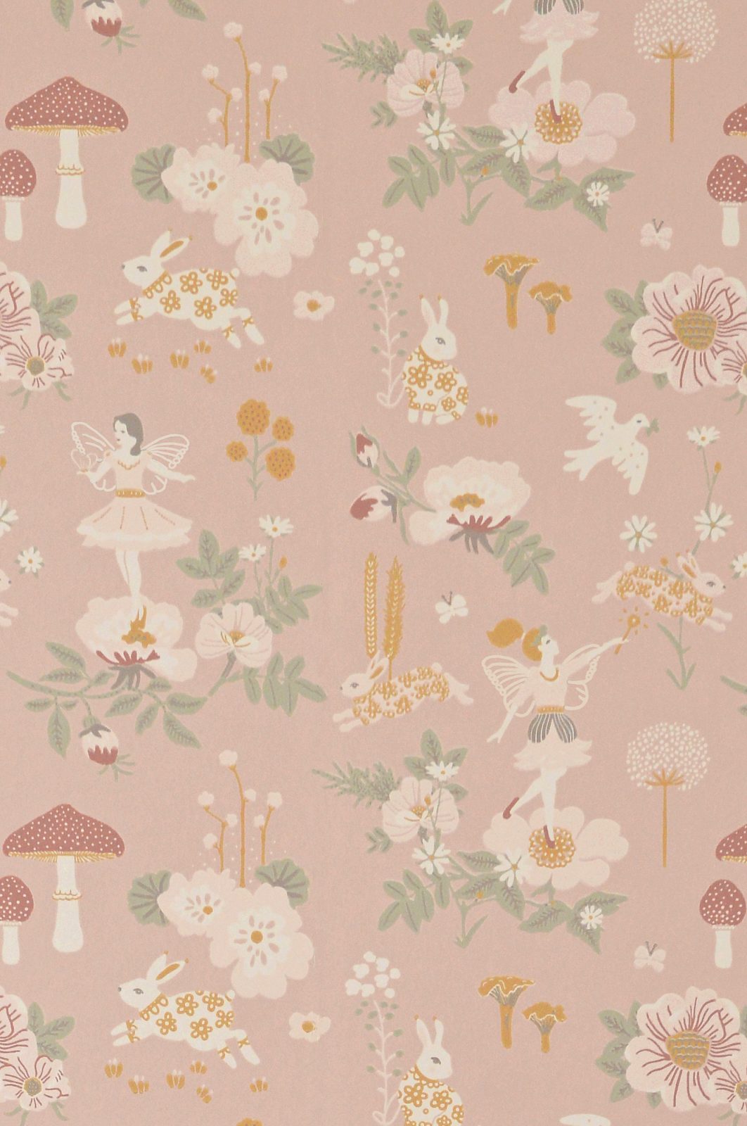 Old Garden, Dusty Rose, Majvillan
