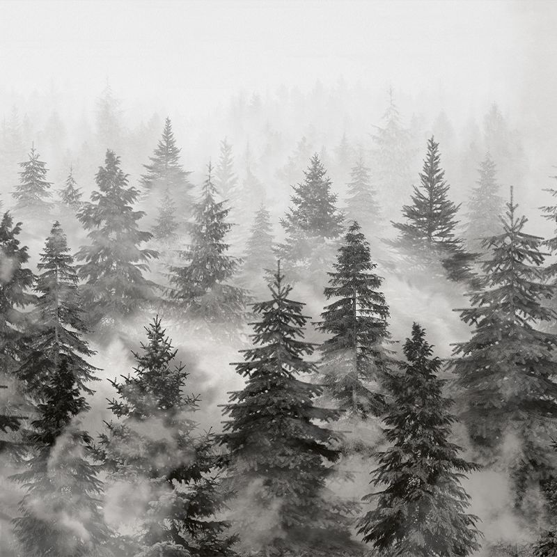 Rivian Forest Charcoal, VLAdiLA