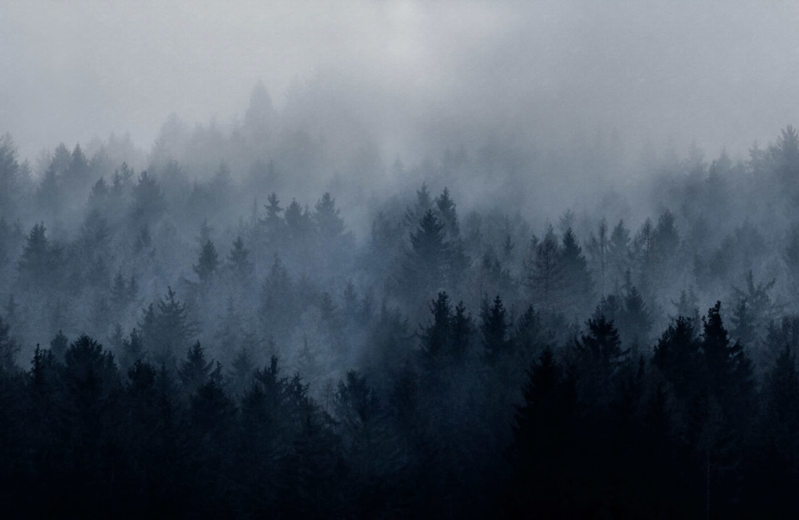 Cloudy Forest, Blue, Rebel Walls