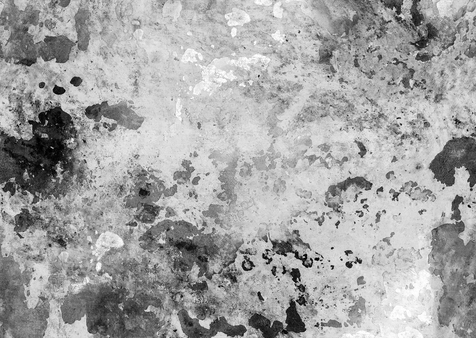 Fragments, Charcoal, Rebel Walls