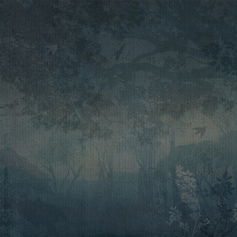 Blue Twilight, VLAdiLA