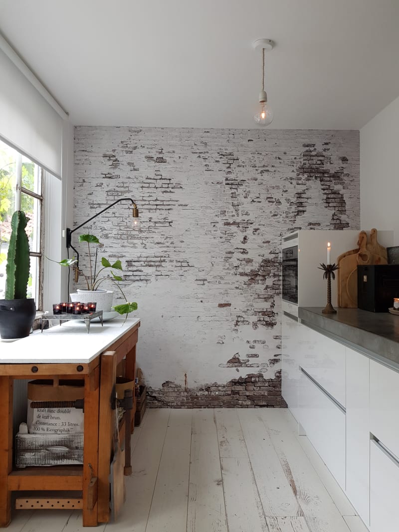 Industrial Ivory, Rebel Walls 3