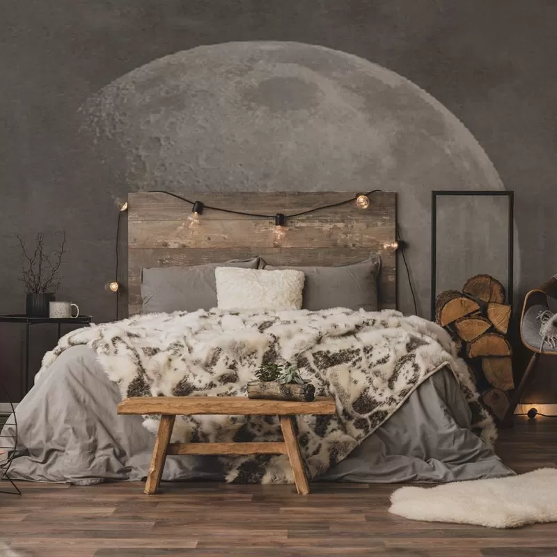 Soft side of the moon, VLAdiLA 2