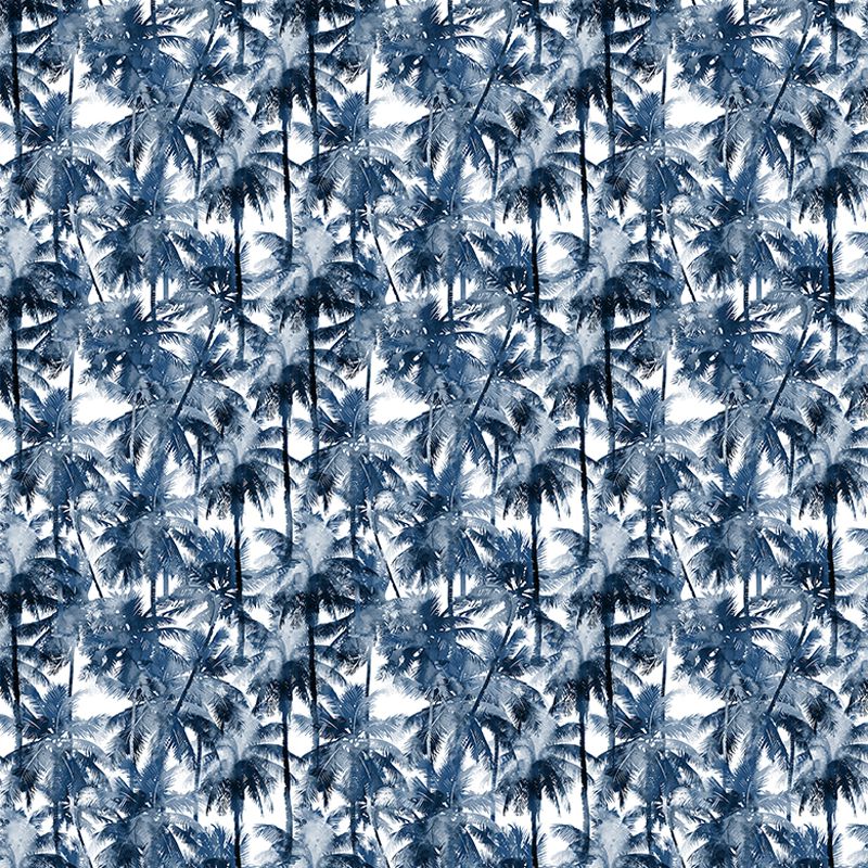 Tropical Splash, VLAdiLA