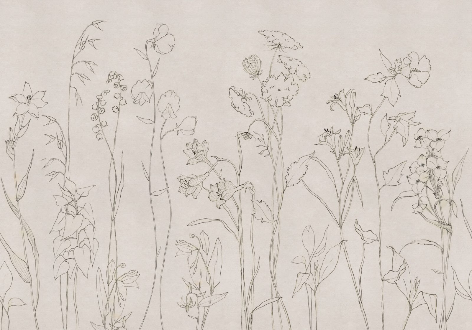 Countryside, Ink, Coordonne
