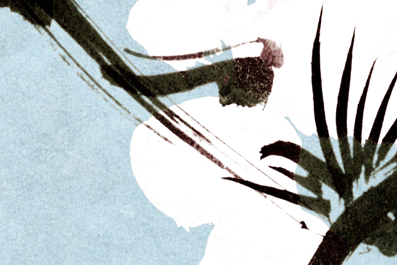 Blush of Spring, Blue, Rebel Walls 4
