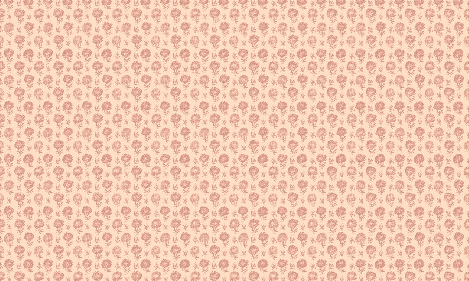 Parterre, Rosa, Coordonne 5mp / rola 3