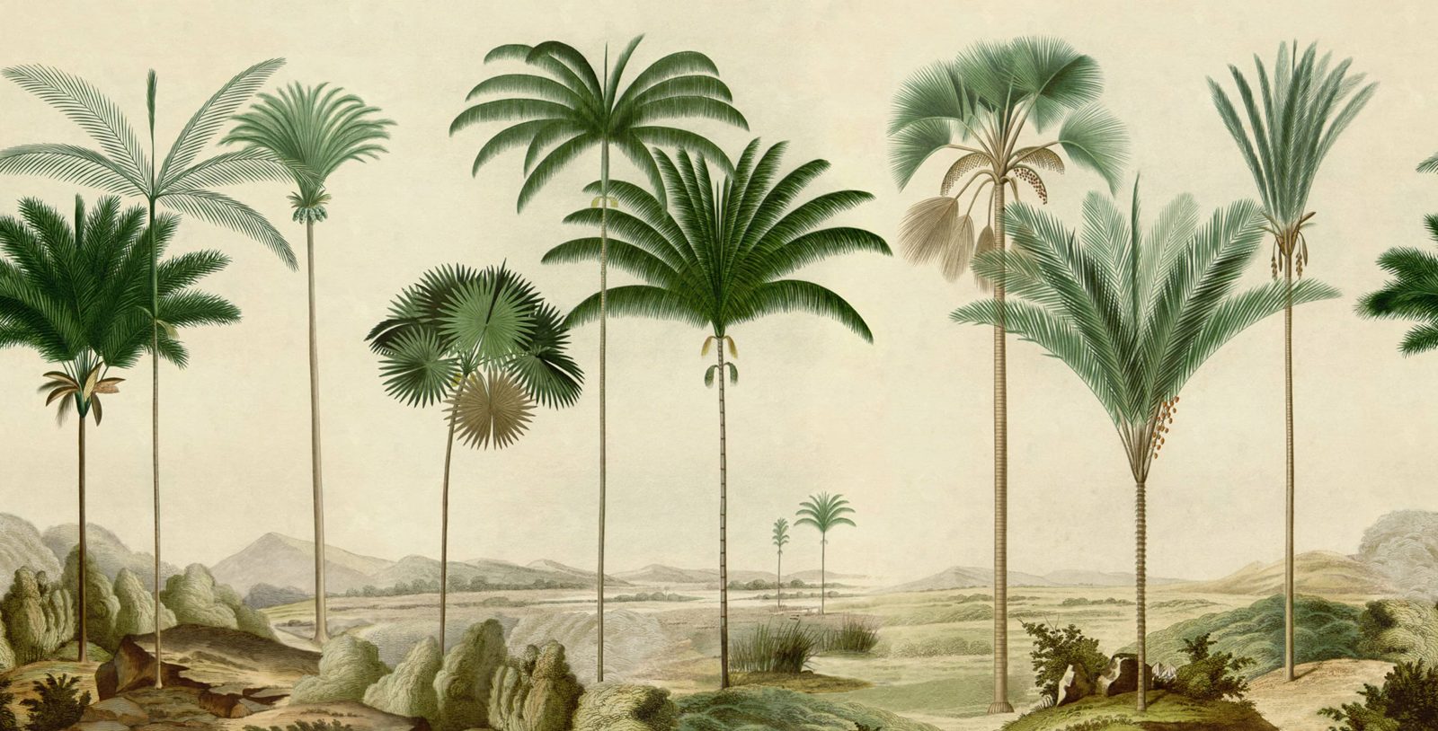 Vintage Palms, Green, Rebel Walls