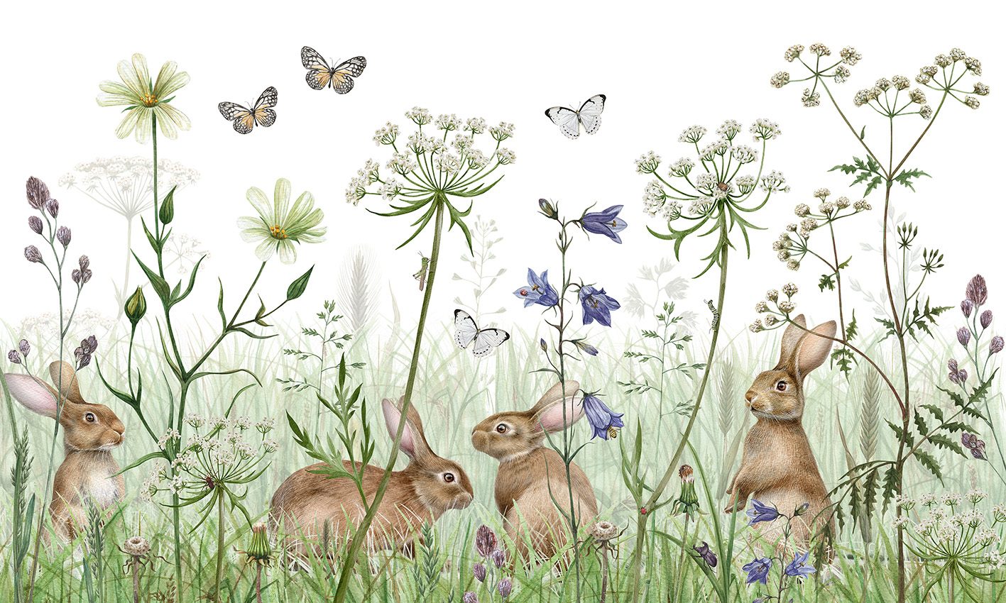 In the Undergrowth, Kikki Belle