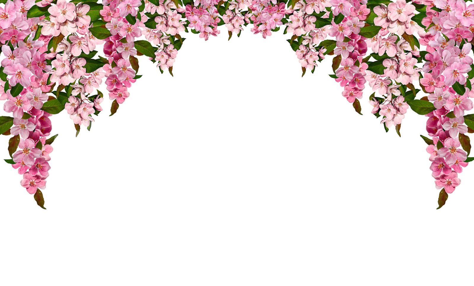Bloom Garland, Pink, Rebel Walls