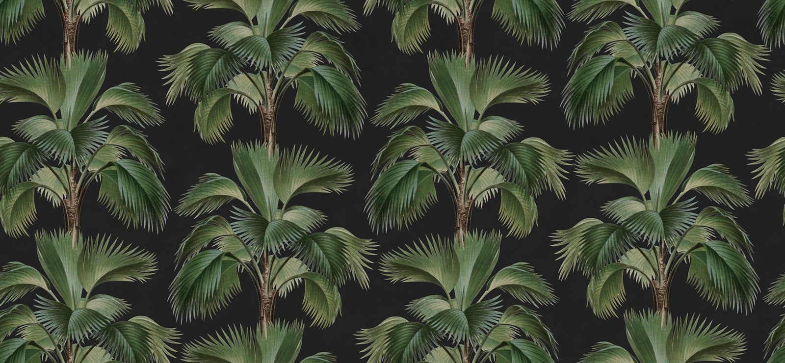 Tropical Rhythm, Black, Rebel Walls