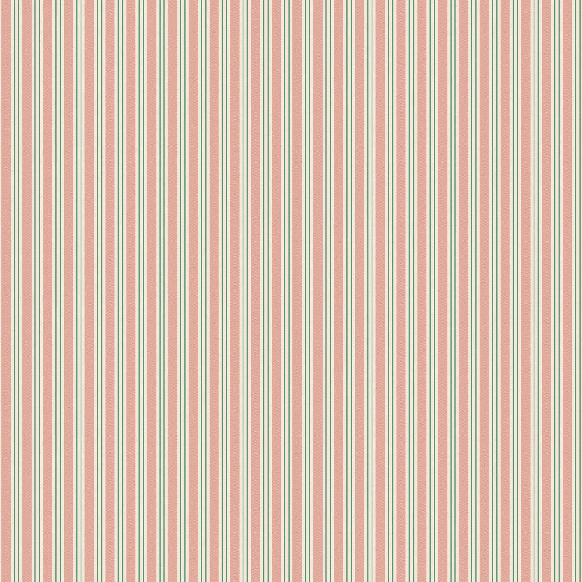 Linn, Pink, Sandberg, 5.3mp / rola