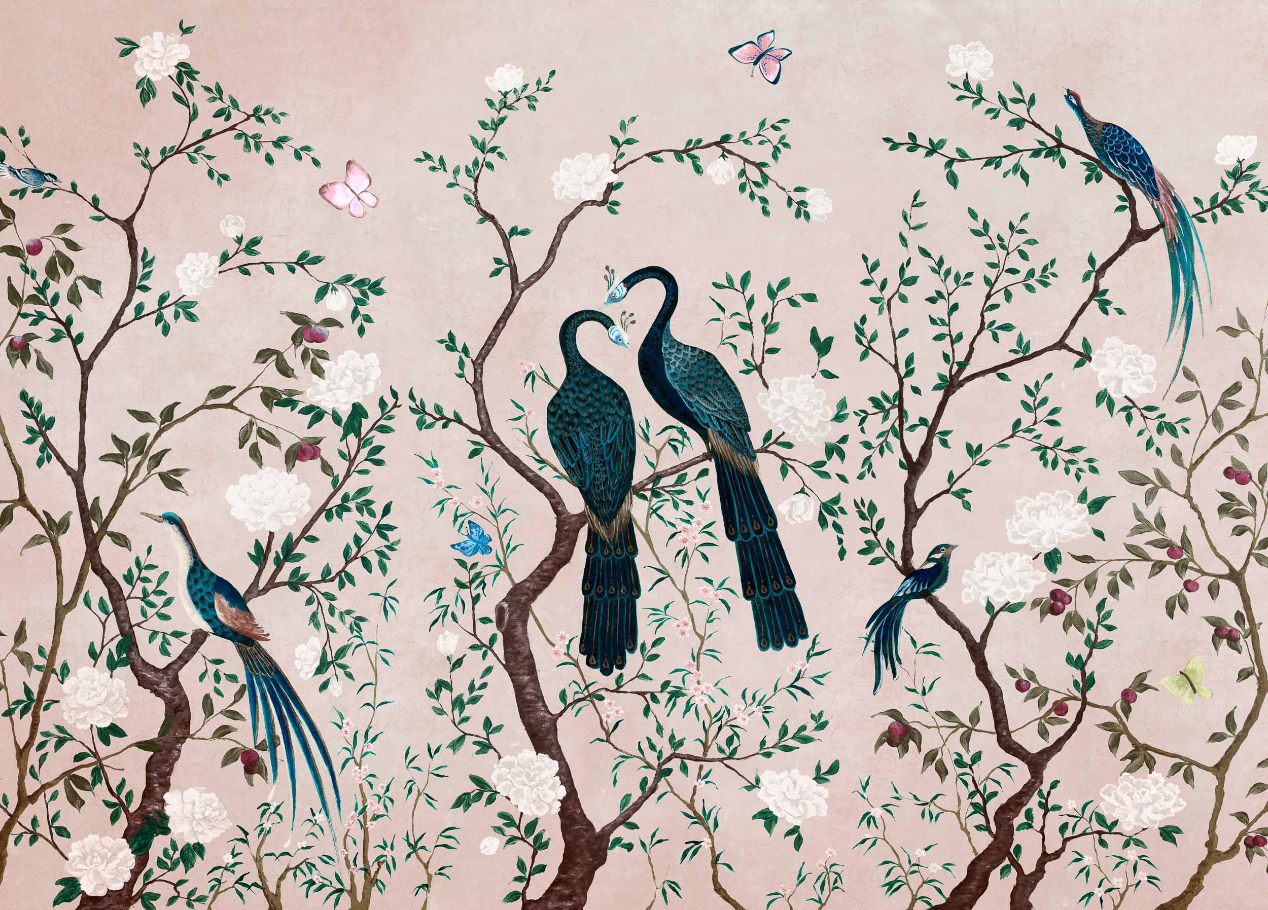 Edo, Peony, Coordonne