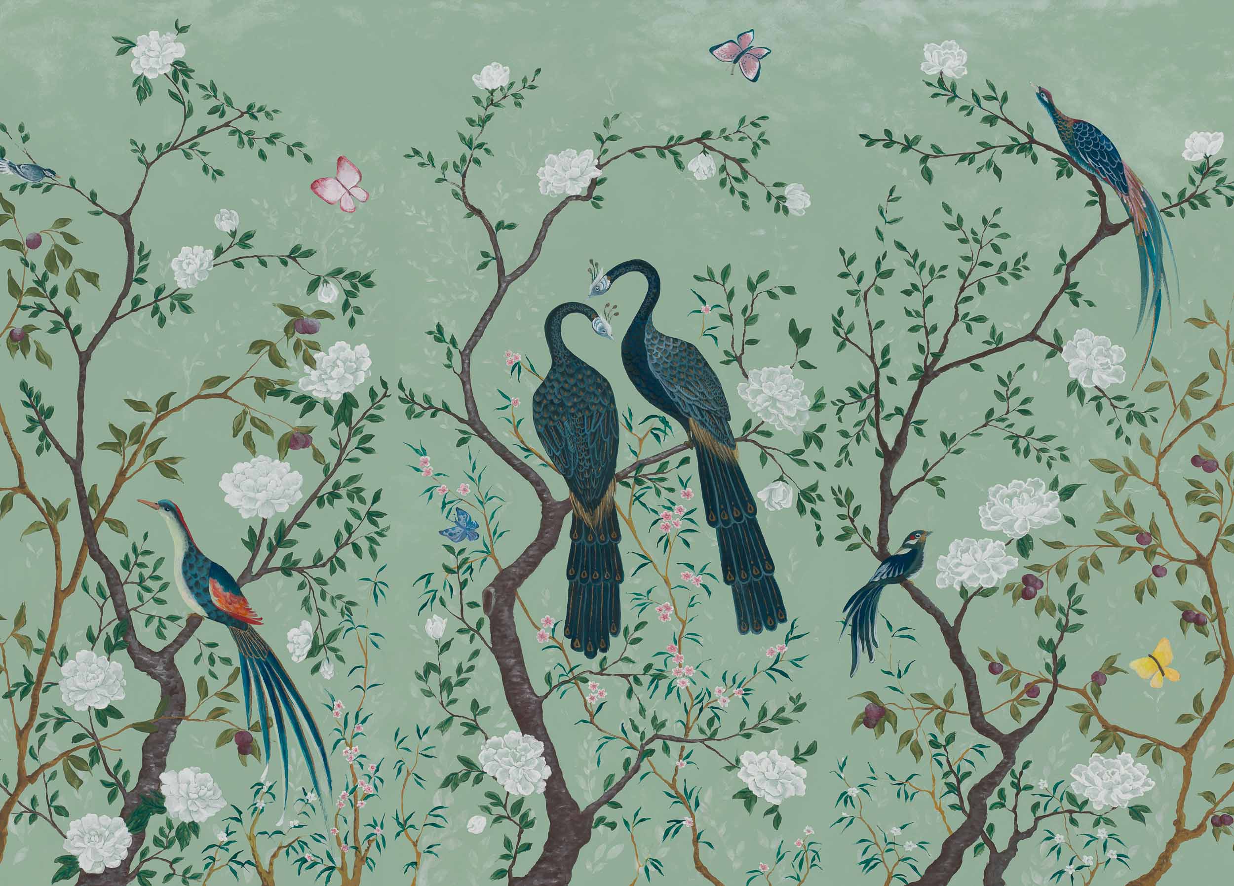 Edo, Aqua, Coordonne