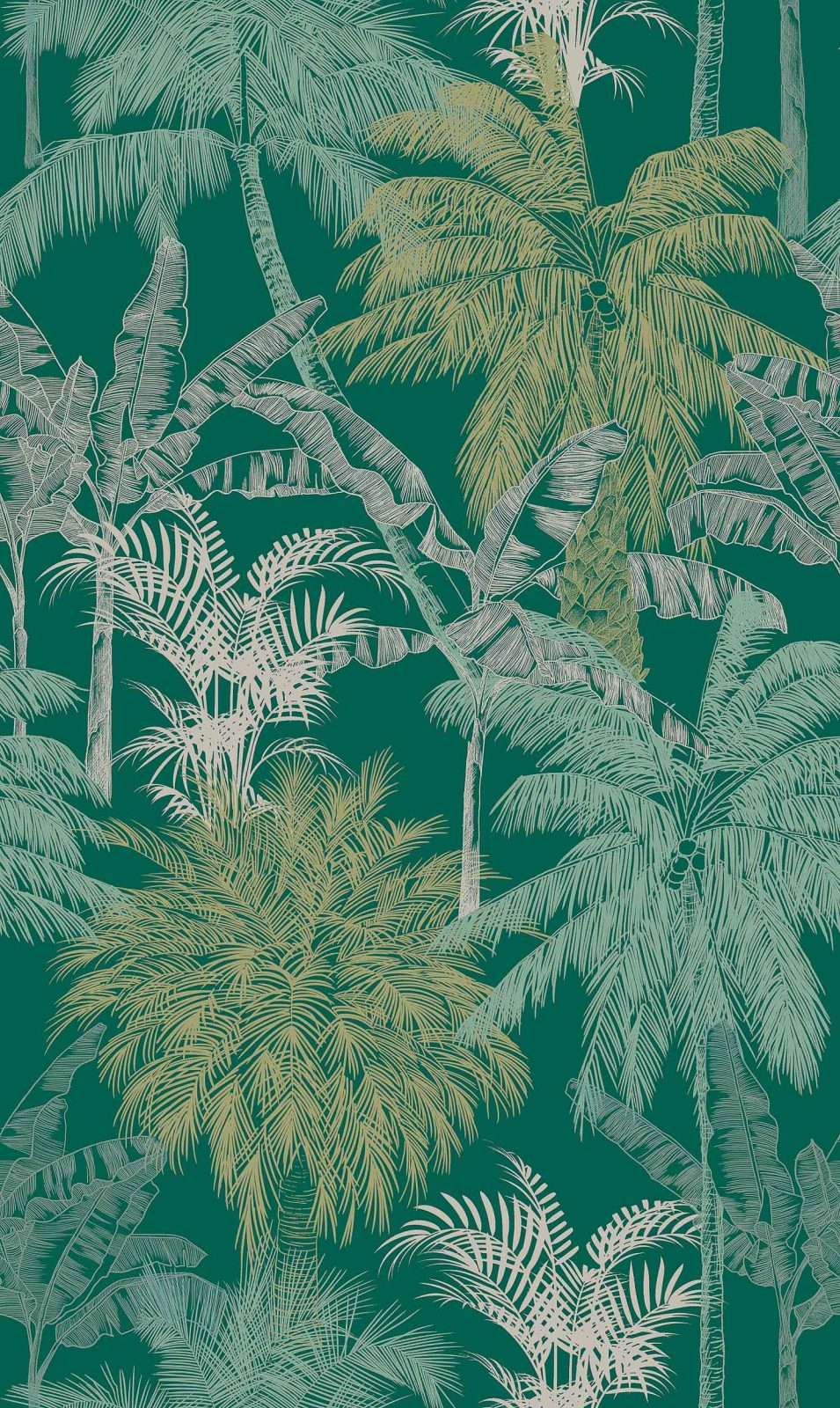 Palms, Esmeralda, Coordonne, 5mp / rola