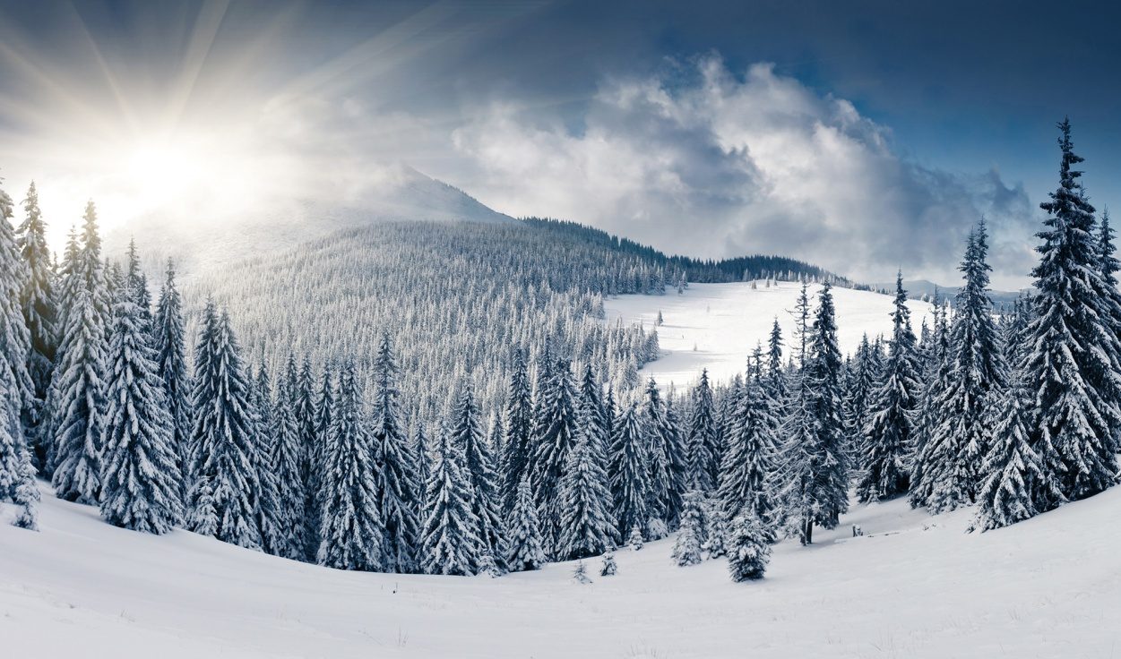 Winter, Rebel Walls