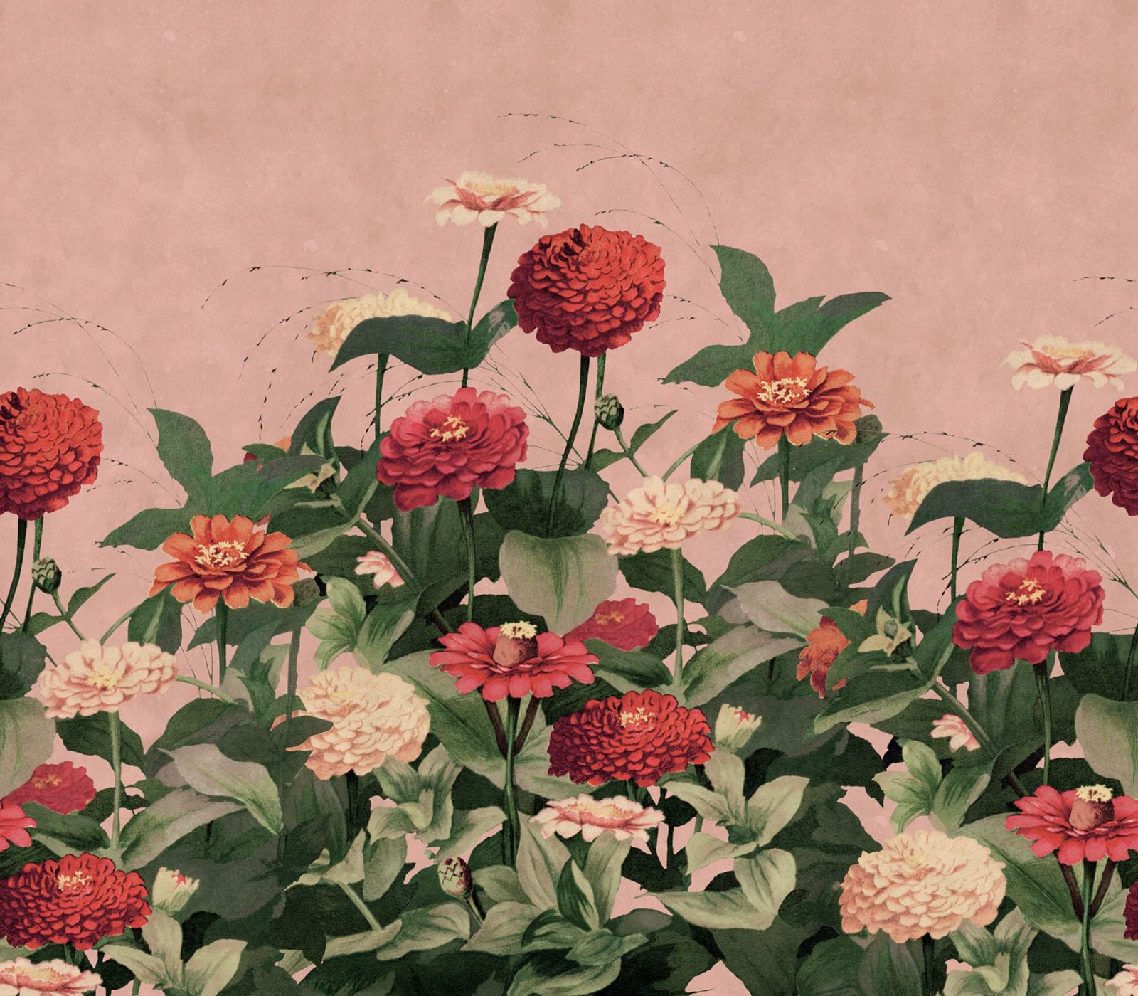 Vintage Meadow, Pink, Rebel Walls