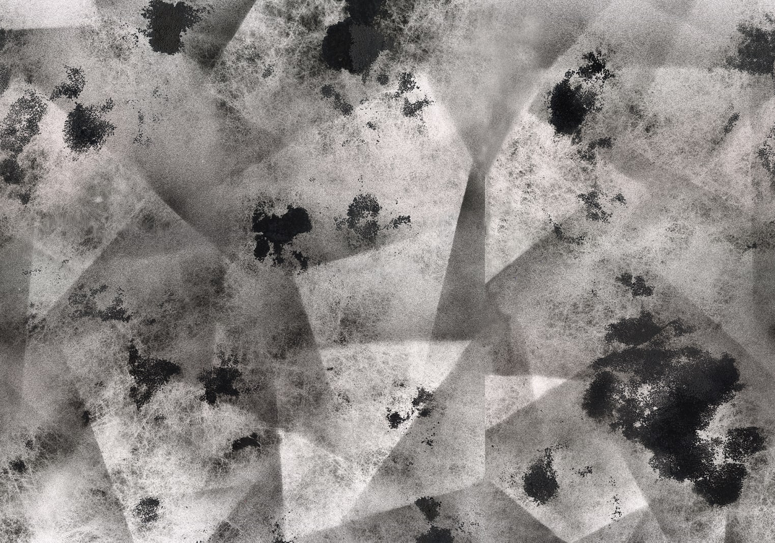 Ash, Graphite, Rebel Walls