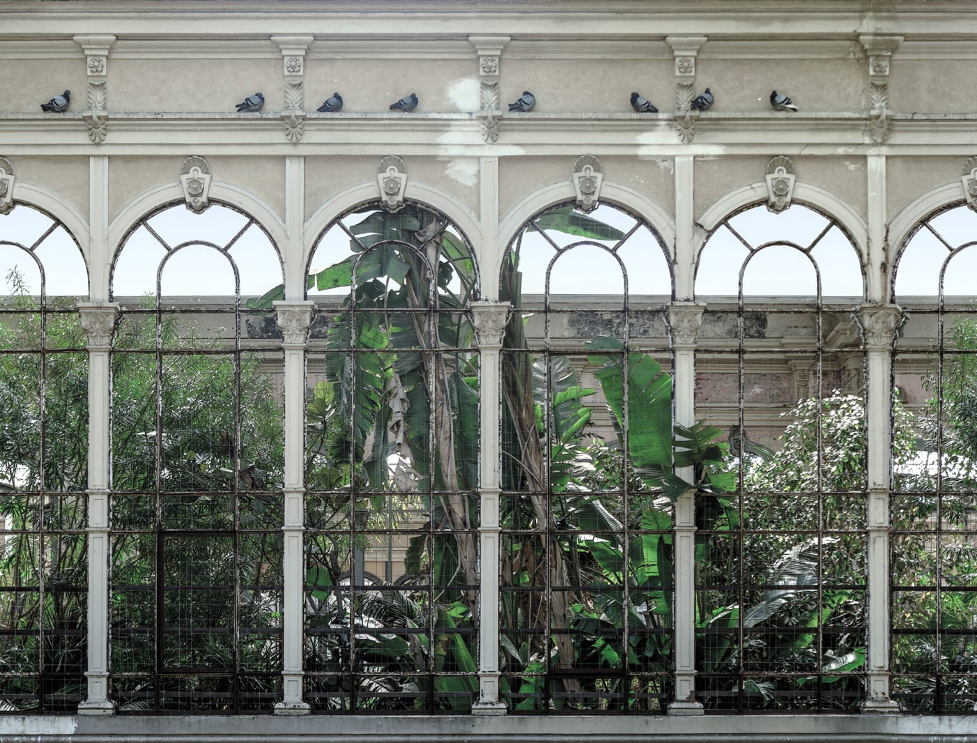 Dove Gardens, Rebel Walls