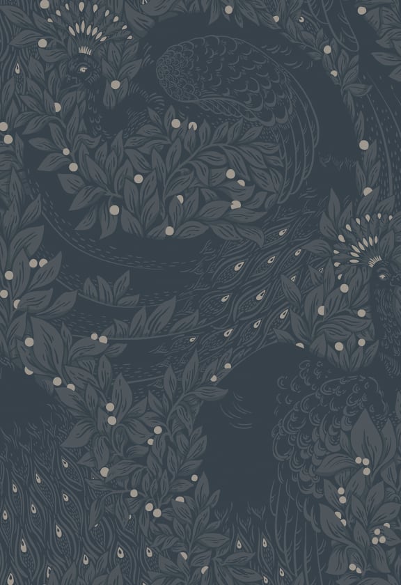 Evelina Indigo Blue, Sandberg, 5.3mp / rola