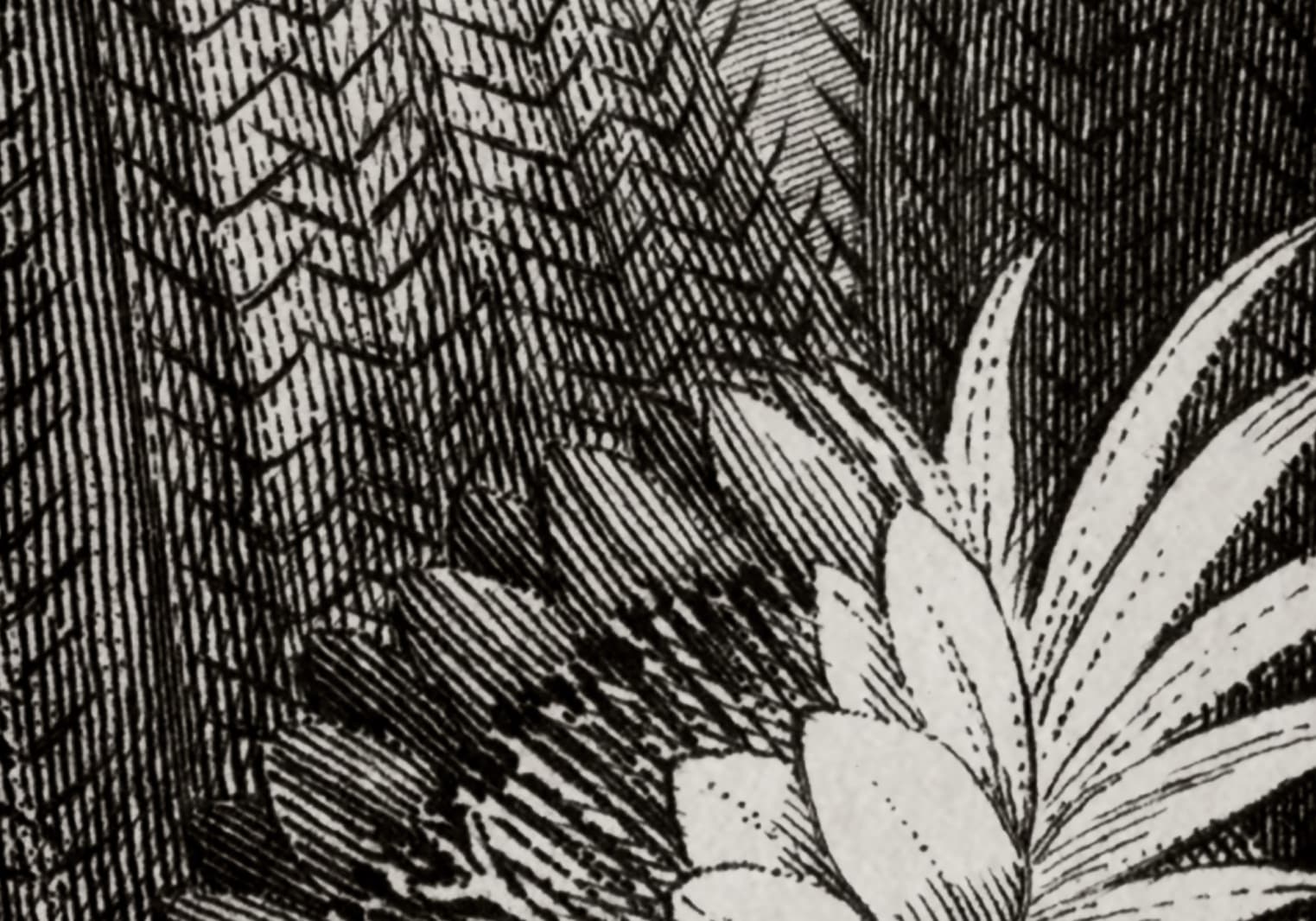 Cactus Garden, Rebel Walls 5