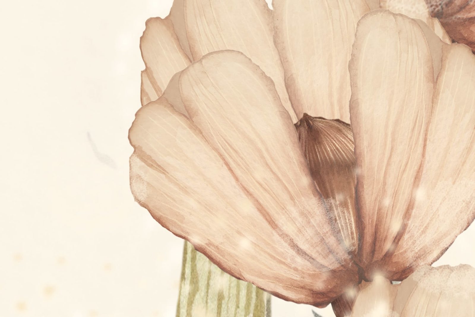 Bloomy Fields of Marion, Off White, Rebel Walls 4