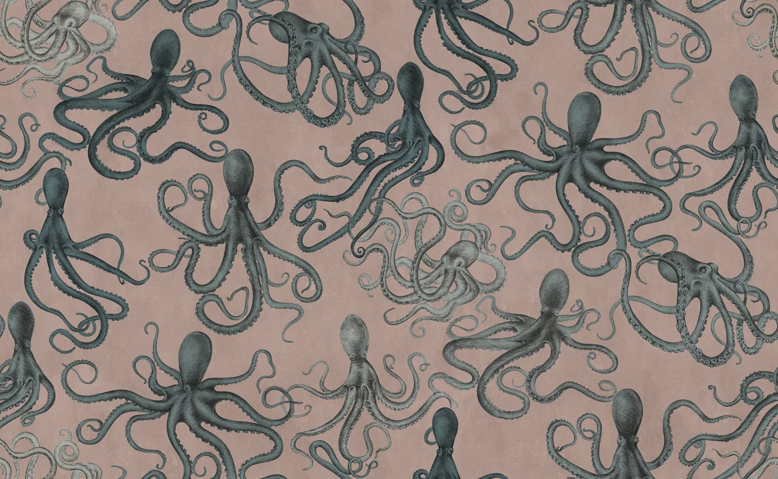 Octopus, Pink, Rebel Walls