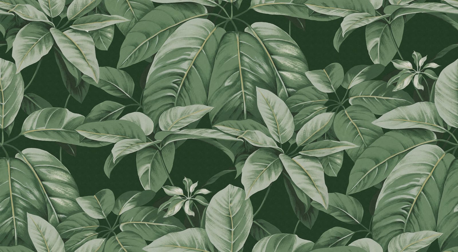 Chestnut, Green, Rebel Walls
