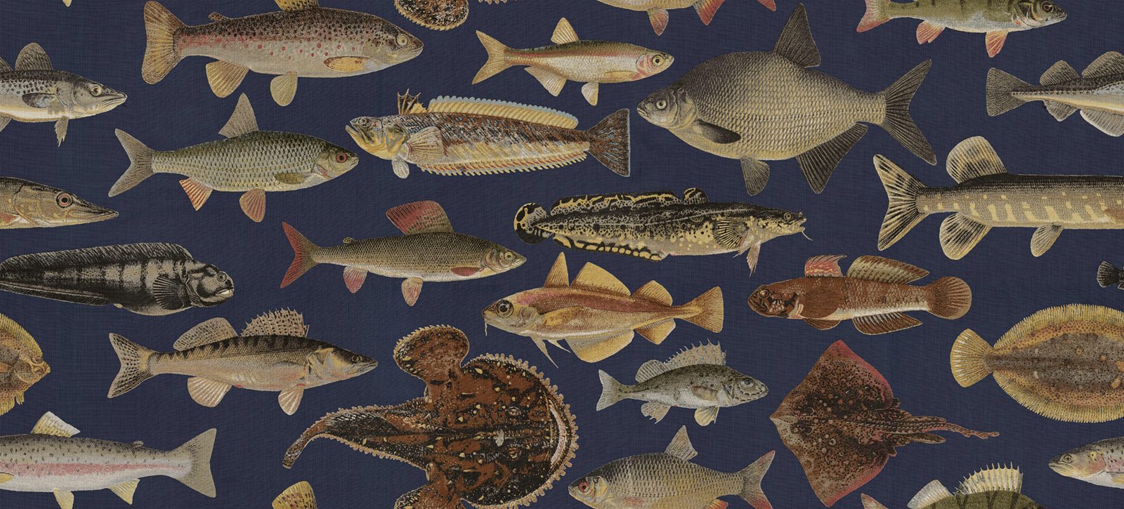Scandinavian Fish, Dark Blue, Sandberg