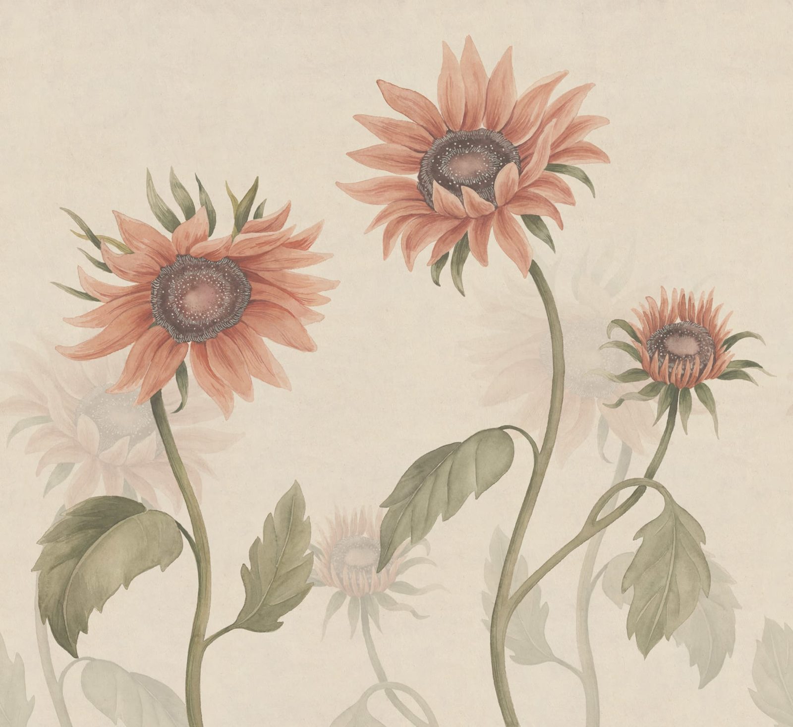 Sunflowers, Peach, Sandberg