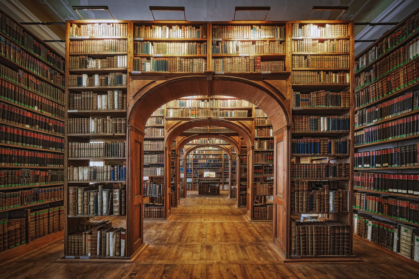Vintage Library, Rebel Walls