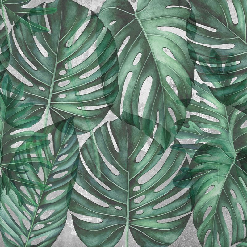 Green Philodendron, VLAdiLA