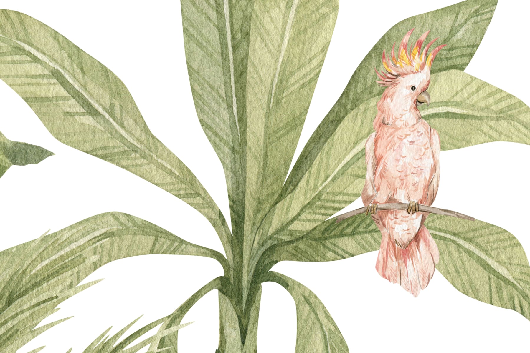 Jungle Animals, Rebel Walls 4