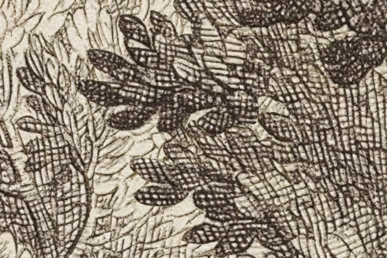 Forest Engraving, Vintage, Rebel Walls 4