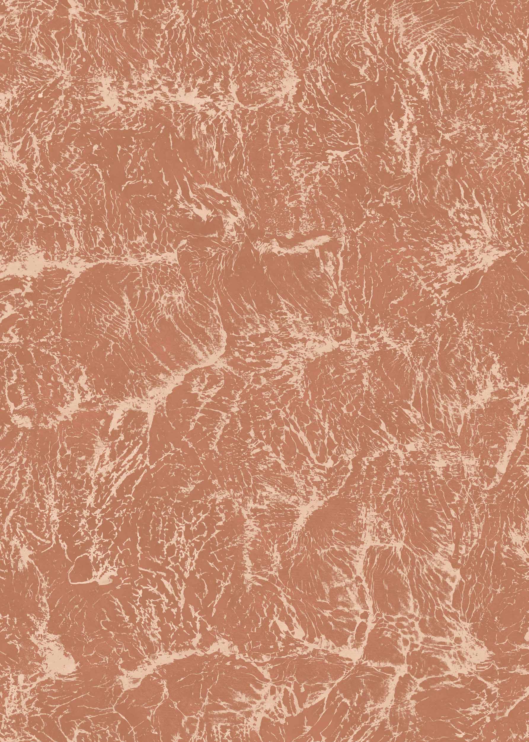 Sepia, Rose, Coordonne, 5mp / rola