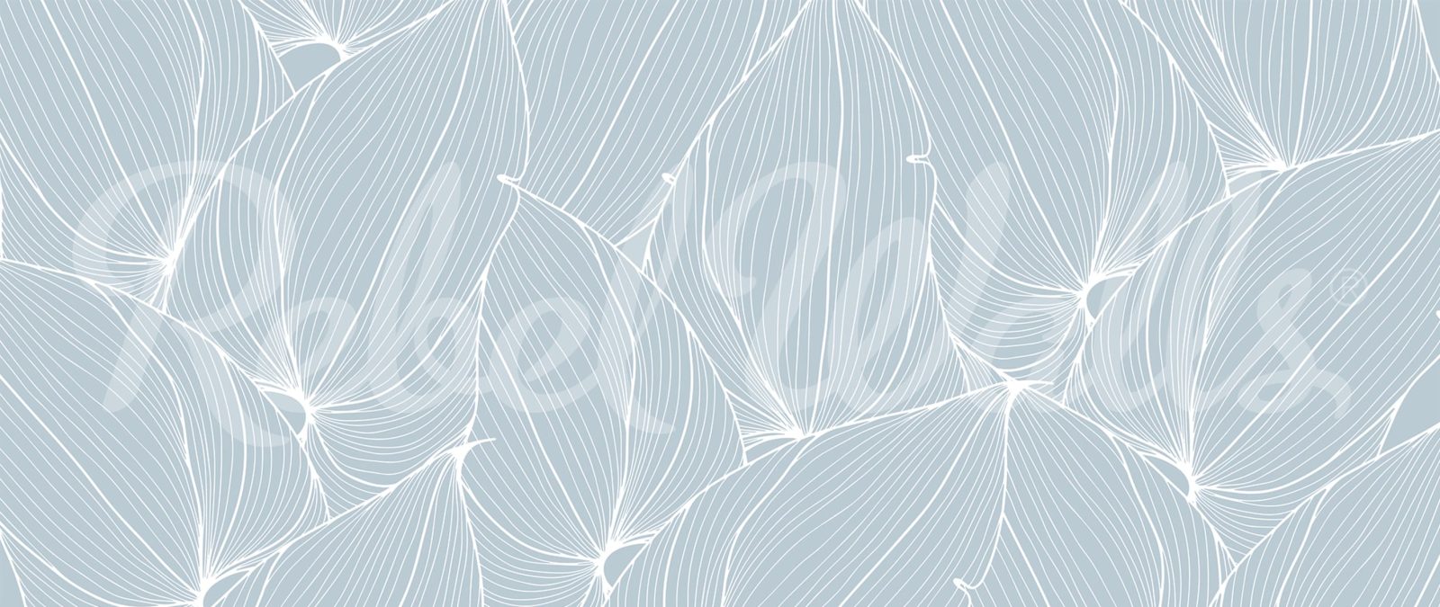 Big Leafs, Baby Blue, Rebel Walls