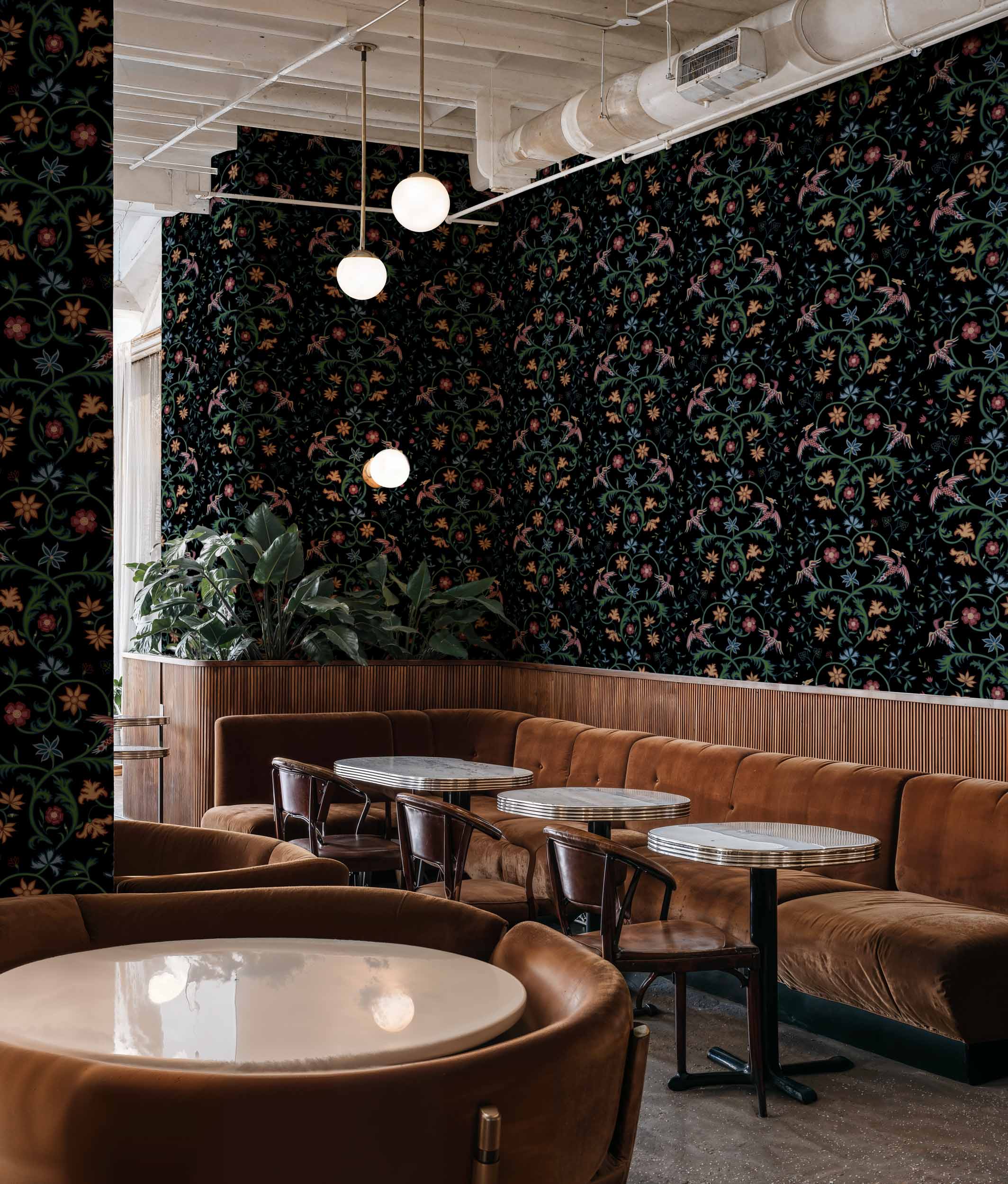 Antwerp Damask, Onyx, Coordonne, 5mp / rola 2