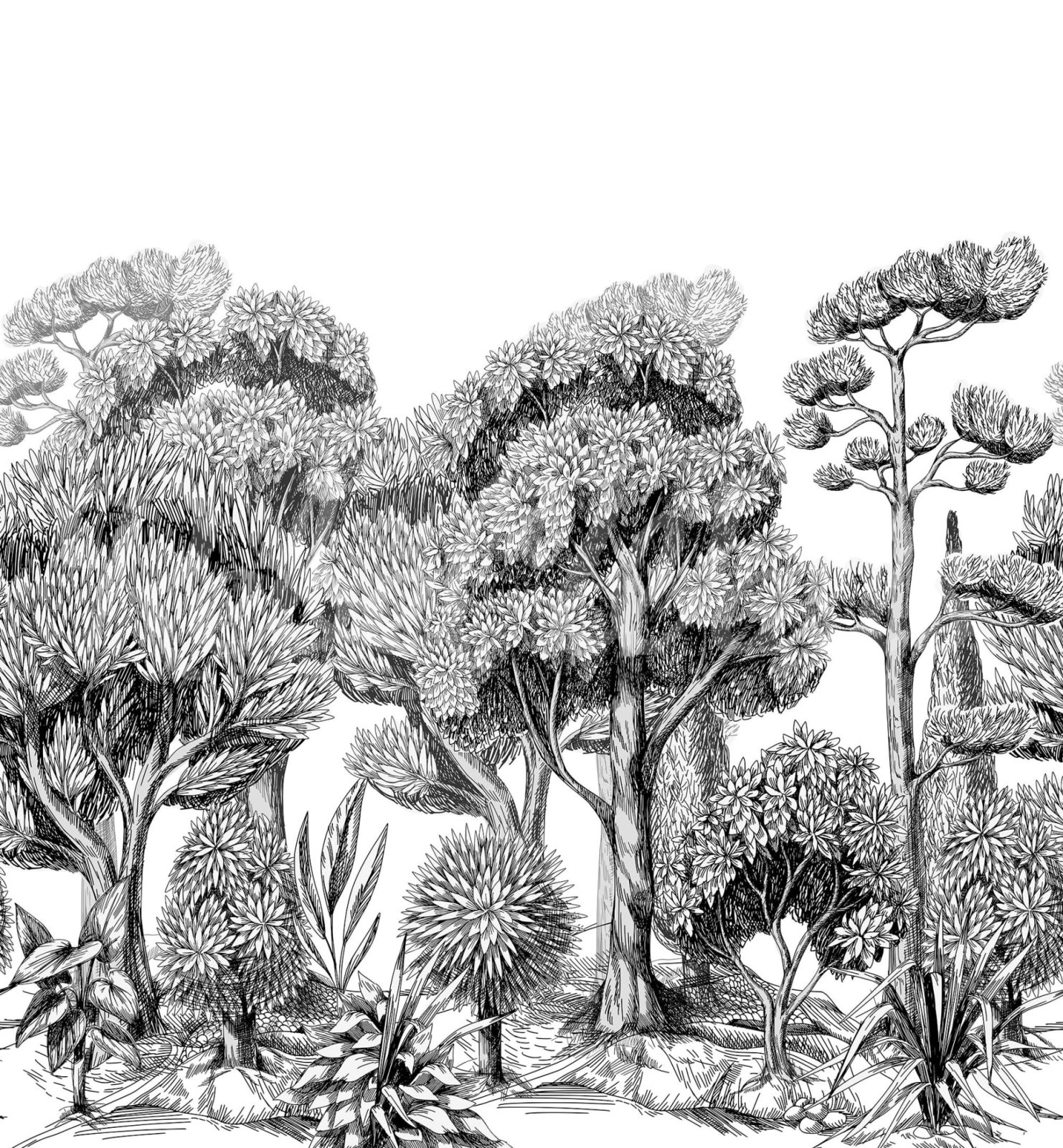 Forest Park, Graphite, Rebel Walls