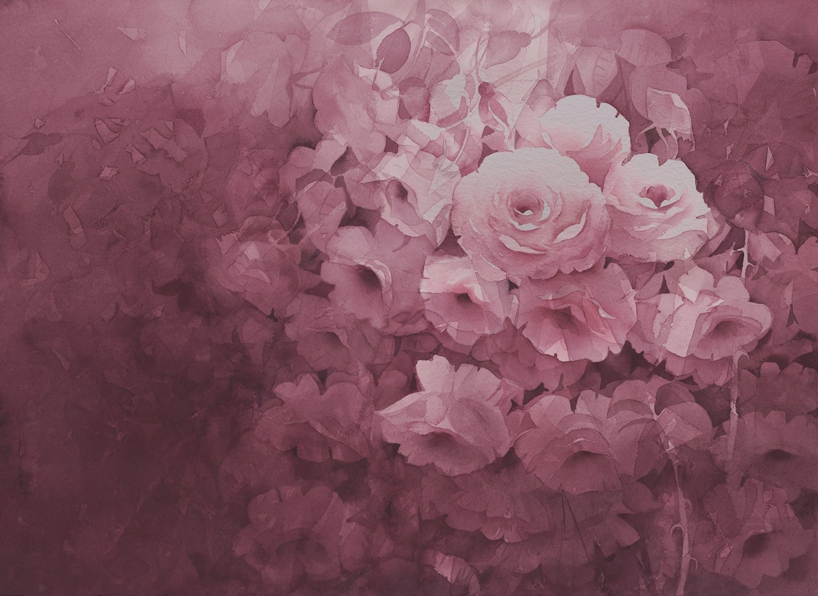 Harmony, Fuchsia, Rebel Walls